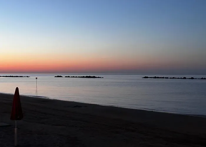 Le Ortensie In Centro E Vicino Al Mare