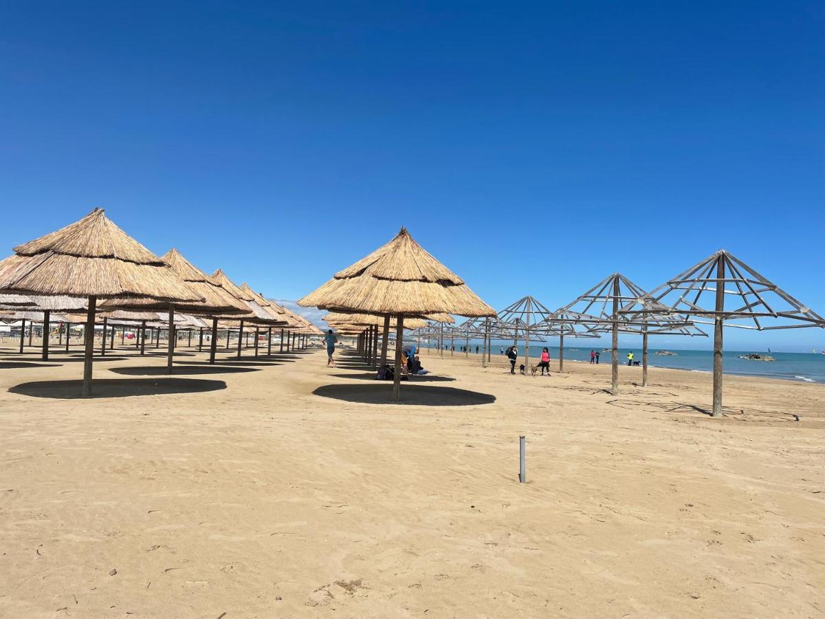Le Ortensie In Centro E Vicino Al Mare * Pescara