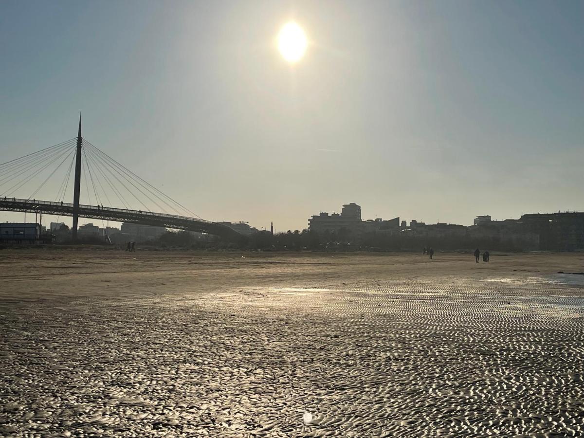 Le Ortensie In Centro E Vicino Al Mare * Pescara