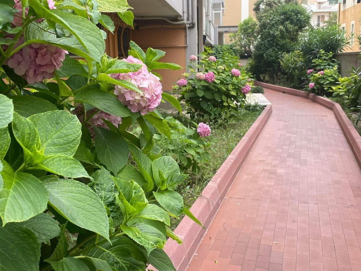Le Ortensie In Centro E Vicino Al Mare * Pescara